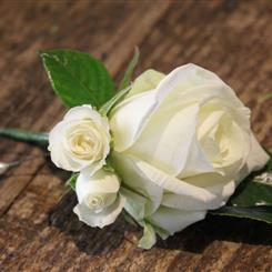 White Rose &amp; Spray rose Buttonhole or Corsage