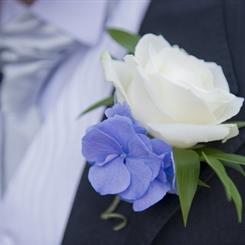 White Rose &amp; Blue Hydrangea Buttonhole