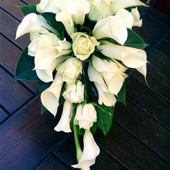 Simple white callas and roses cascade