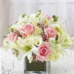 Low Glass Table Centrepieces