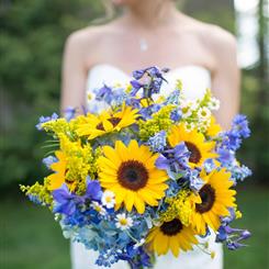 Sunflowers and the Blues