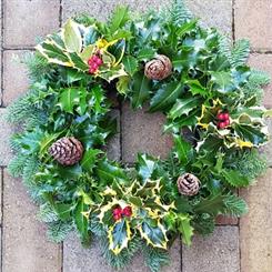 Fresh holly wreath