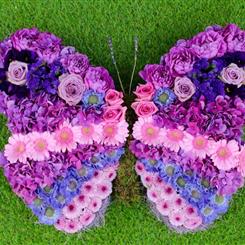 Butterfly Tribute Pinks and Purple