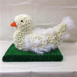 Dove Tribute