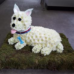 3D Dog Tribute