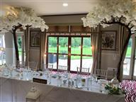 Canopy Trees Ivory x 2 (10 ft)